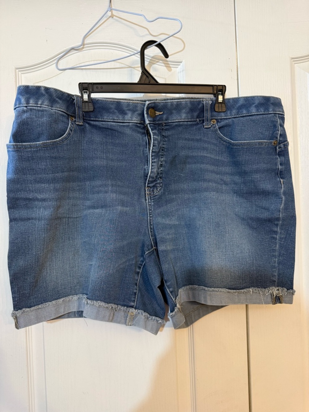Terra & Sky Blue Denim Cutoff Shorts with Frayed Hem